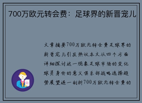 700万欧元转会费：足球界的新晋宠儿